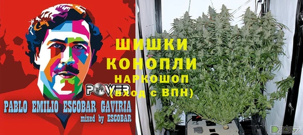 каннабис Верея