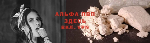 ГАЛЛЮЦИНОГЕННЫЕ ГРИБЫ Тайга