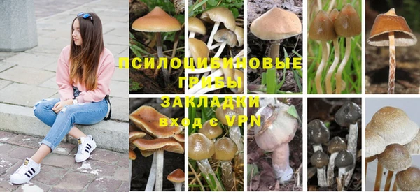 шишки Строитель