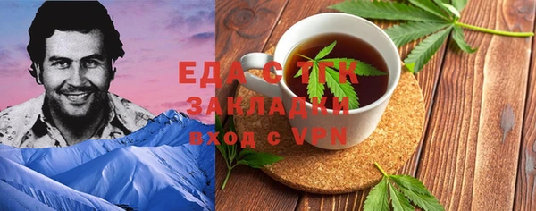 индика Ступино